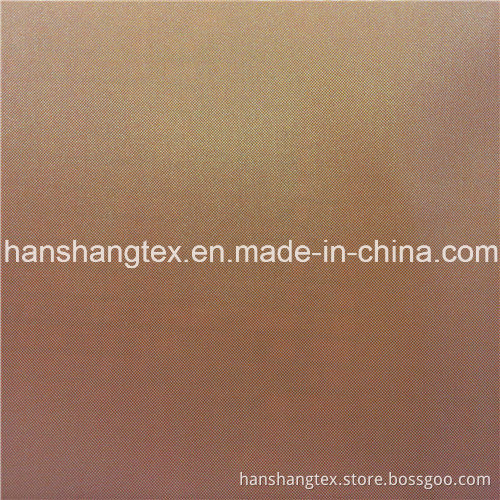 210T N/P Nylon Polyester Two Tone Fabric (HS)